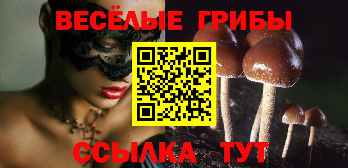 Галлюциногенные грибы мицелий  Вход с VPN  Белогорск 