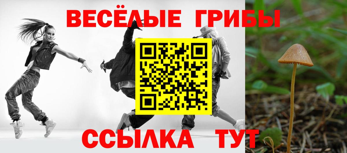 Галлюциногенные грибы Psilocybe Белогорск